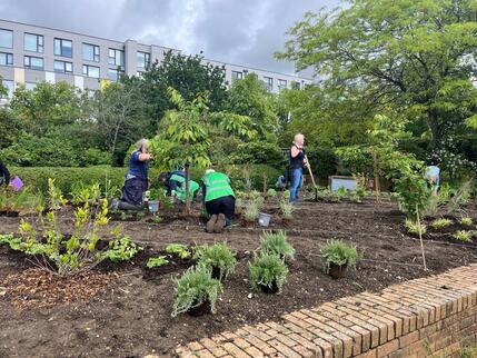 Old Pond - phase 2 planting 2 June - 5
