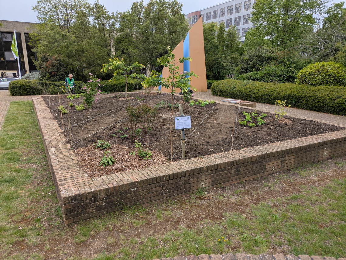 Old Pond - phase 1 planting 19 May - 2