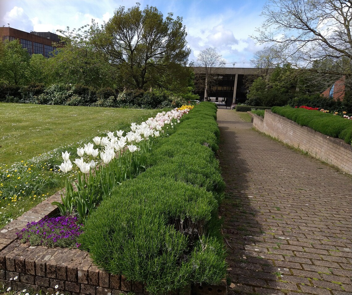 Image of a flower bed in Fred Roche Gardens in Central Milton Keynes