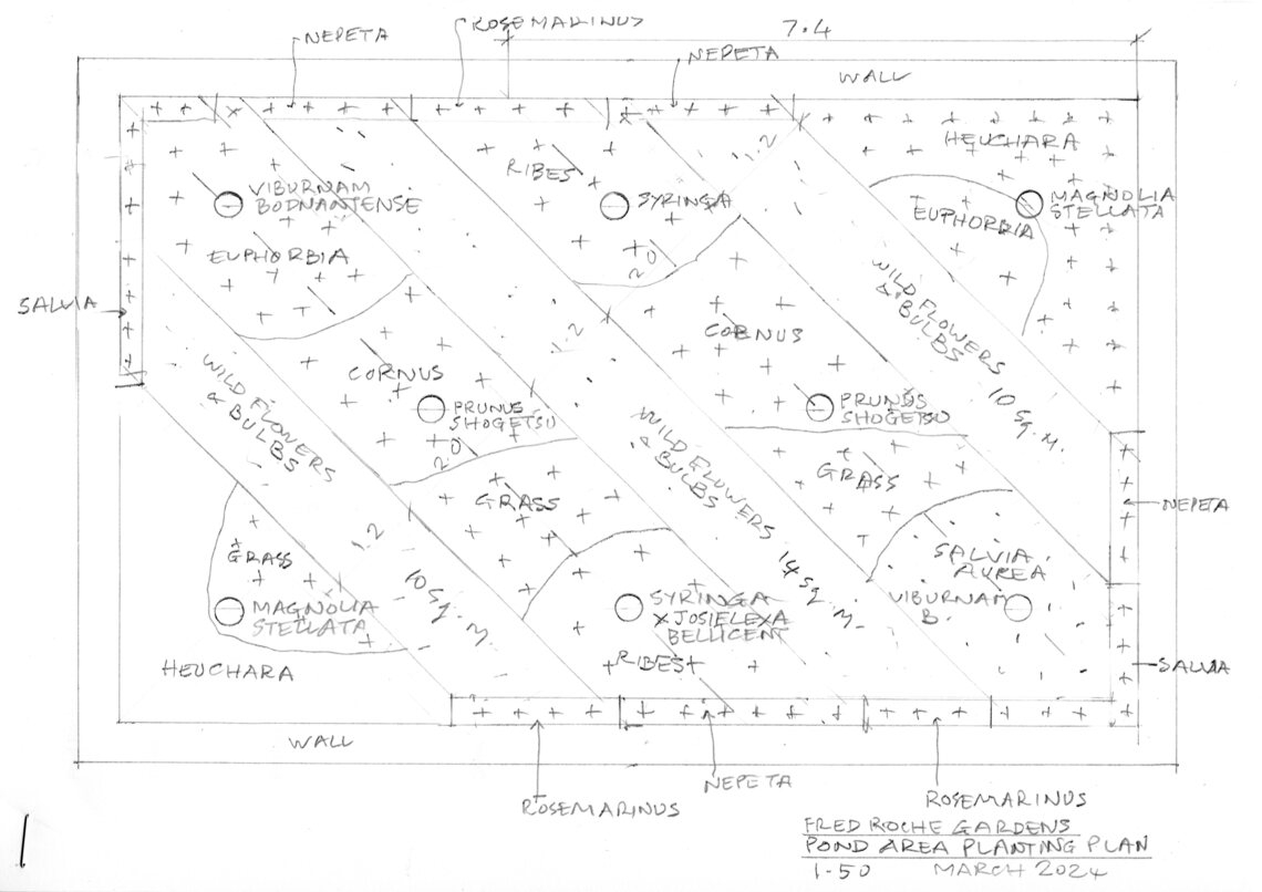 Pond replanting plan