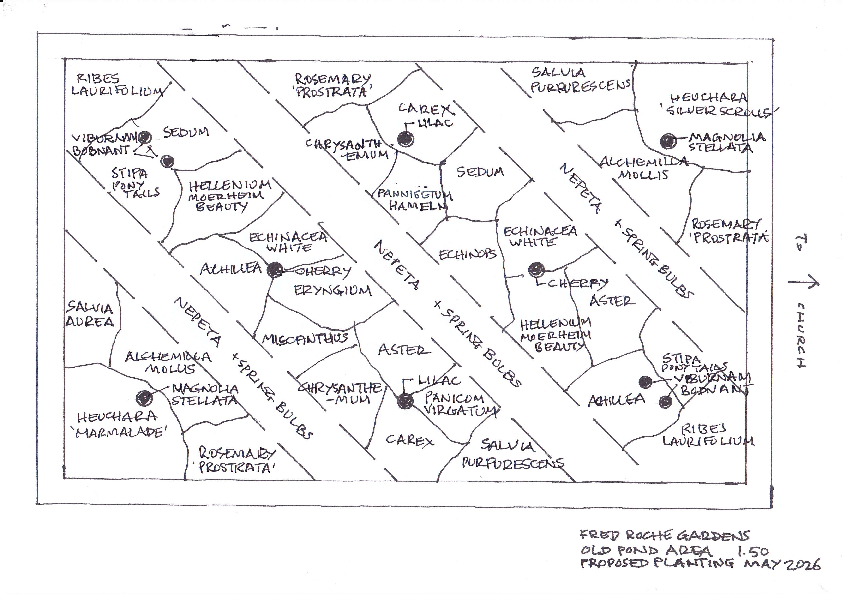 Revised planting scheme - old pond in FRG