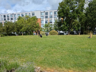 PXL_20260602_094641598.MP